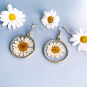 Real Daisy Drop Earrings